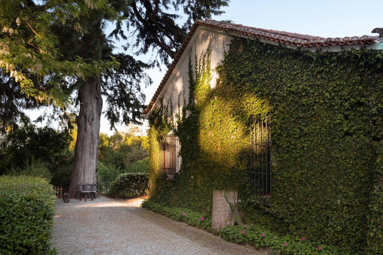 Imani Country House Évora Esterno foto